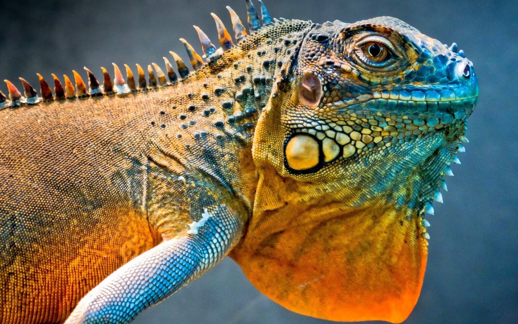 经理人参阅ManagerReads资讯