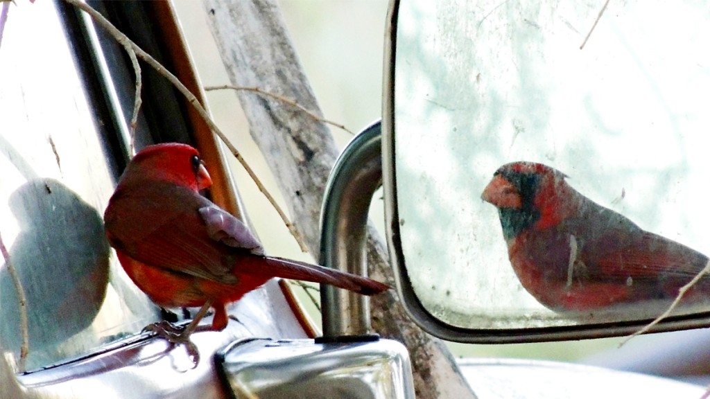 经理人参阅ManagerReads资讯