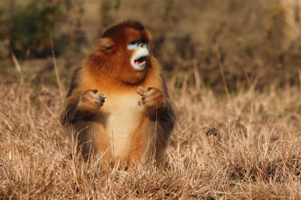 经理人参阅ManagerReads资讯