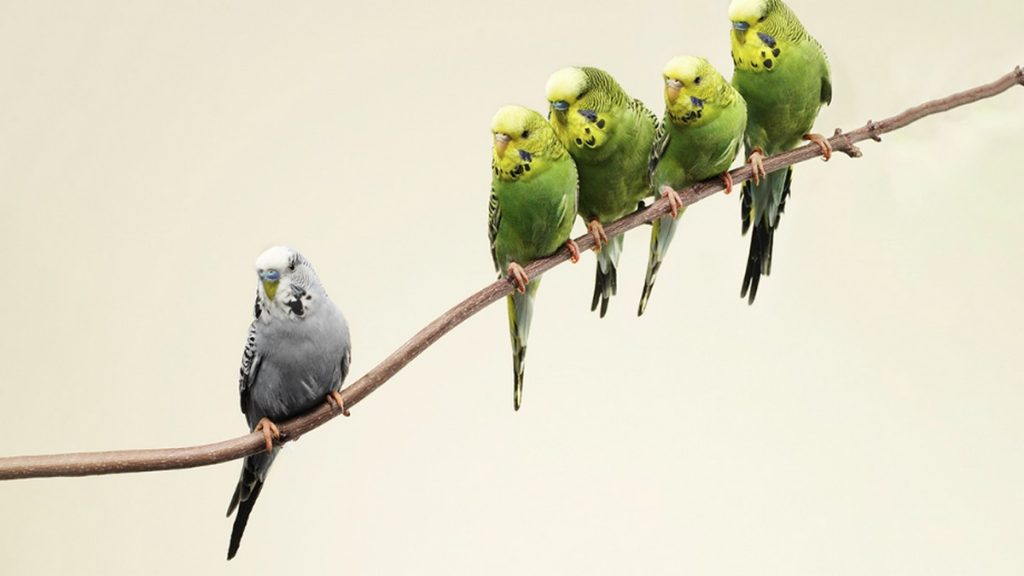 经理人参阅ManagerReads资讯