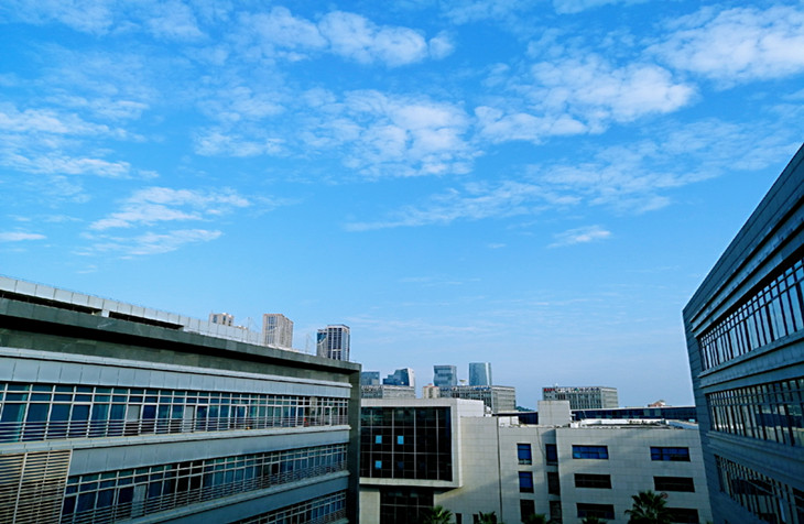 来自“智慧实践者”的箴言:企业如何渡过艰难时刻